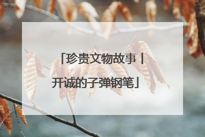 珍贵文物故事丨开诚的子弹钢笔