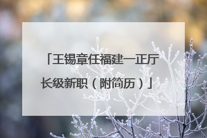 王锡章任福建一正厅长级新职（附简历）