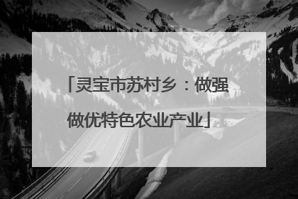 灵宝市苏村乡：做强做优特色农业产业