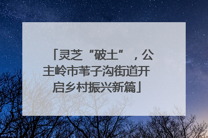 灵芝“破土”，公主岭市苇子沟街道开启乡村振兴新篇