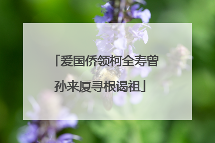 爱国侨领柯全寿曾孙来厦寻根谒祖