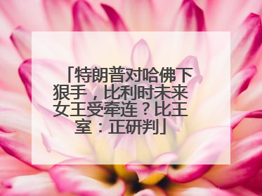特朗普对哈佛下狠手，比利时未来女王受牵连？比王室：正研判