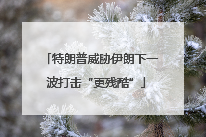 特朗普威胁伊朗下一波打击“更残酷”