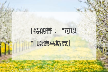 特朗普：“可以”原谅马斯克