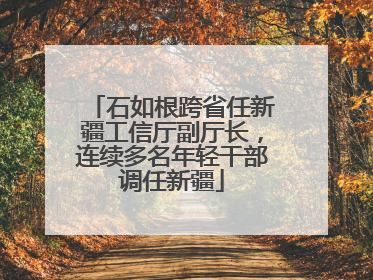 石如根跨省任新疆工信厅副厅长，连续多名年轻干部调任新疆