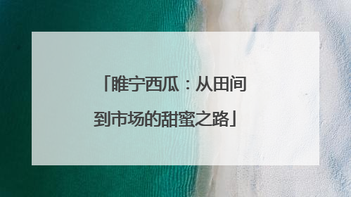 睢宁西瓜：从田间到市场的甜蜜之路