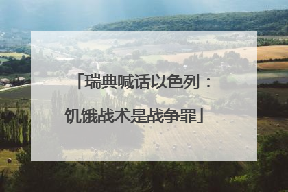 瑞典喊话以色列：饥饿战术是战争罪