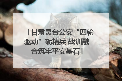 甘肃灵台公安“四轮驱动”砺精兵 战训融合筑牢平安基石