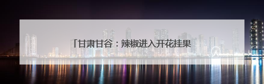 甘肃甘谷：辣椒进入开花挂果期 科学管护确保大田丰收