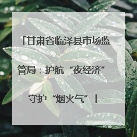甘肃省临泽县市场监管局：护航“夜经济” 守护“烟火气”