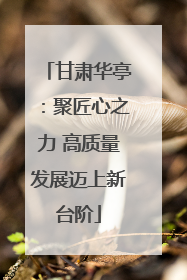甘肃华亭：聚匠心之力 高质量发展迈上新台阶