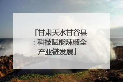 甘肃天水甘谷县：科技赋能辣椒全产业链发展
