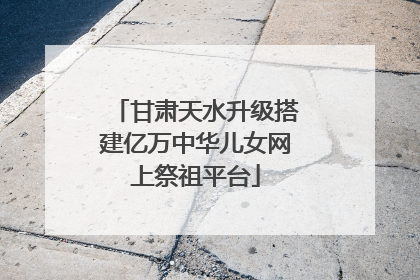 甘肃天水升级搭建亿万中华儿女网上祭祖平台