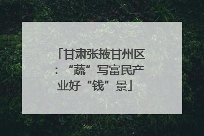甘肃张掖甘州区：“蔬”写富民产业好“钱”景