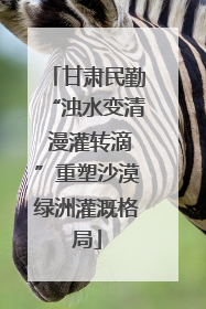 甘肃民勤“浊水变清 漫灌转滴”重塑沙漠绿洲灌溉格局
