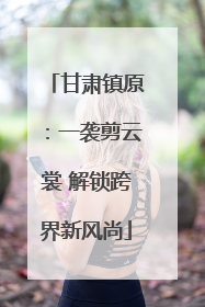 甘肃镇原：一袭剪云裳 解锁跨界新风尚