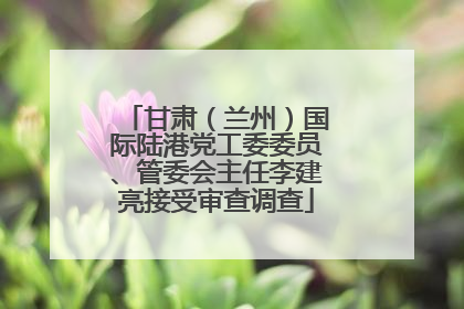 甘肃（兰州）国际陆港党工委委员、管委会主任李建亮接受审查调查