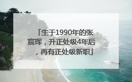 生于1990年的张宸珲，升正处级4年后，再有正处级新职