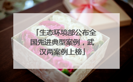 生态环境部公布全国先进典型案例，武汉两案例上榜