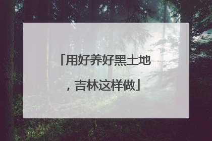 用好养好黑土地，吉林这样做