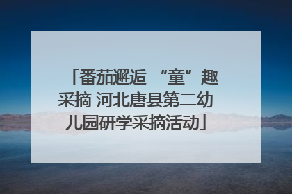 番茄邂逅 “童”趣采摘 河北唐县第二幼儿园研学采摘活动