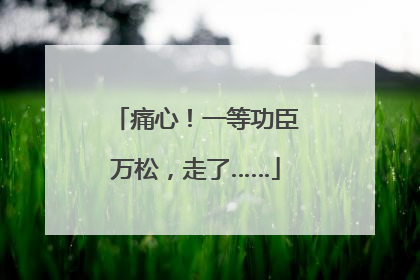 痛心！一等功臣万松，走了……