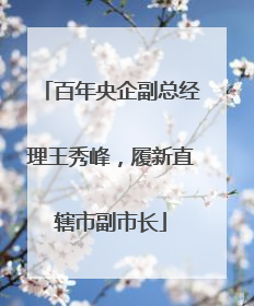 百年央企副总经理王秀峰，履新直辖市副市长
