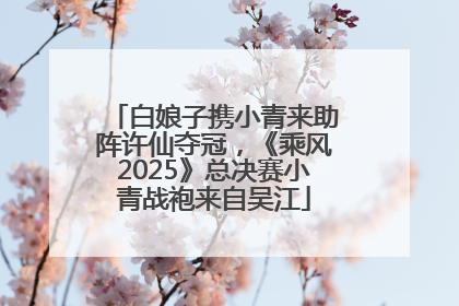 白娘子携小青来助阵许仙夺冠，《乘风2025》总决赛小青战袍来自吴江