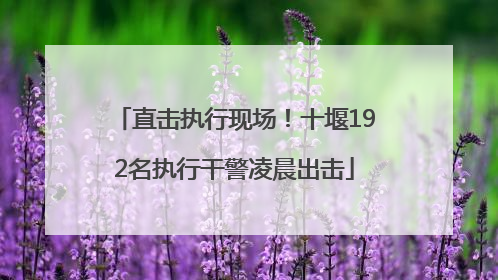 直击执行现场！十堰192名执行干警凌晨出击