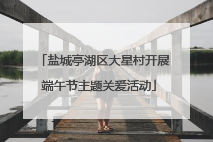 盐城亭湖区大星村开展端午节主题关爱活动
