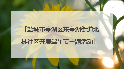 盐城市亭湖区东亭湖街道北林社区开展端午节主题活动