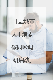 盐城市大丰港零碳园区调研启动