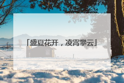 盛夏花开，凌霄攀云