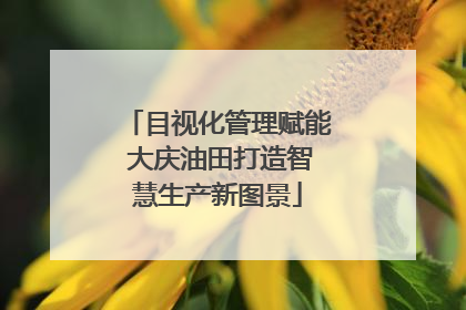 目视化管理赋能 大庆油田打造智慧生产新图景