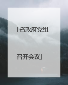 省政府党组召开会议