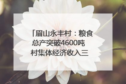 眉山永丰村：粮食总产突破4600吨 村集体经济收入三年倍增｜牵挂的村