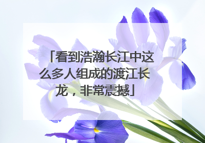 看到浩瀚长江中这么多人组成的渡江长龙，非常震撼