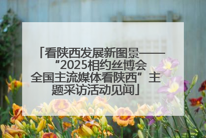 看陕西发展新图景——“2025相约丝博会 全国主流媒体看陕西”主题采访活动见闻