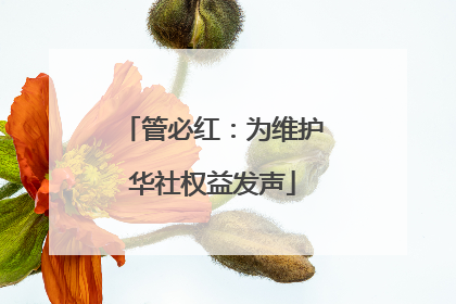 管必红：为维护华社权益发声