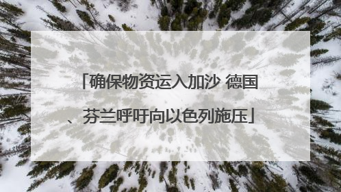 确保物资运入加沙 德国、芬兰呼吁向以色列施压