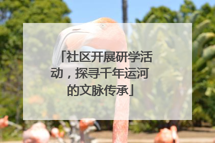 社区开展研学活动，探寻千年运河的文脉传承