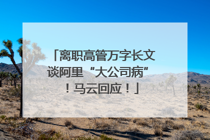 离职高管万字长文谈阿里“大公司病”！马云回应！