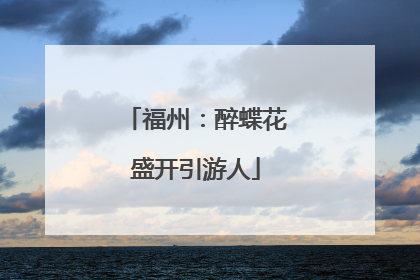 福州：醉蝶花盛开引游人