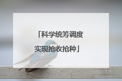 科学统筹调度实现抢收抢种