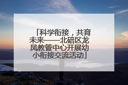 科学衔接，共育未来——北碚区龙凤教管中心开展幼小衔接交流活动