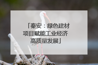 秦安：绿色建材项目赋能工业经济高质量发展