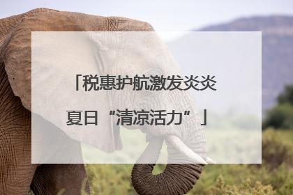 税惠护航激发炎炎夏日“清凉活力”