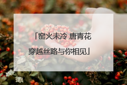 窑火未冷 唐青花穿越丝路与你相见