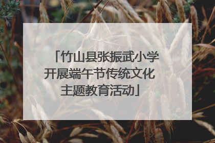 竹山县张振武小学开展端午节传统文化主题教育活动
