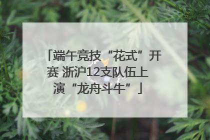 端午竞技“花式”开赛 浙沪12支队伍上演“龙舟斗牛”